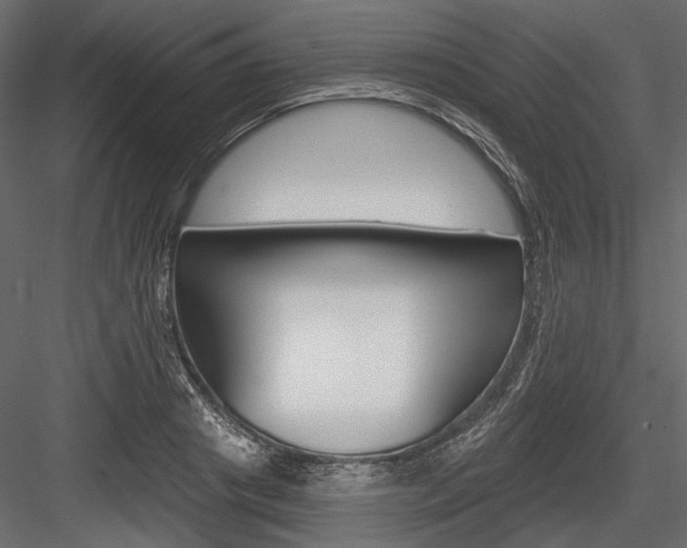 X0000084600841200702231034