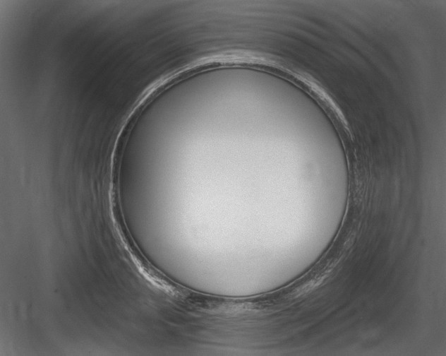 X0000084600845200702231034