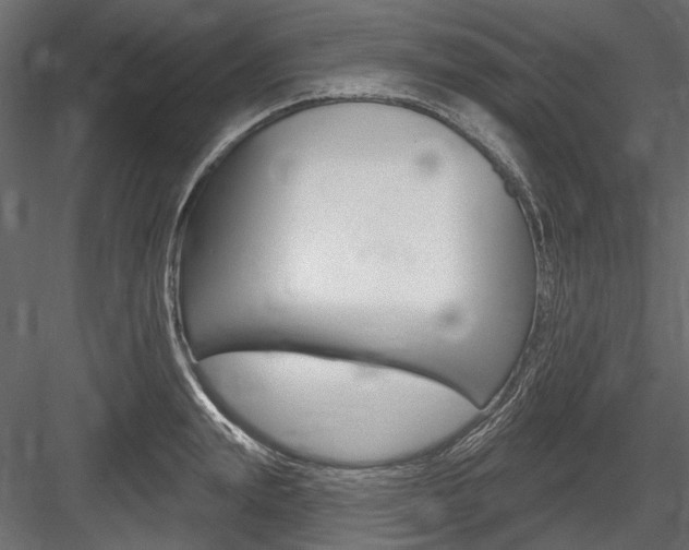 X0000084600847200702231034