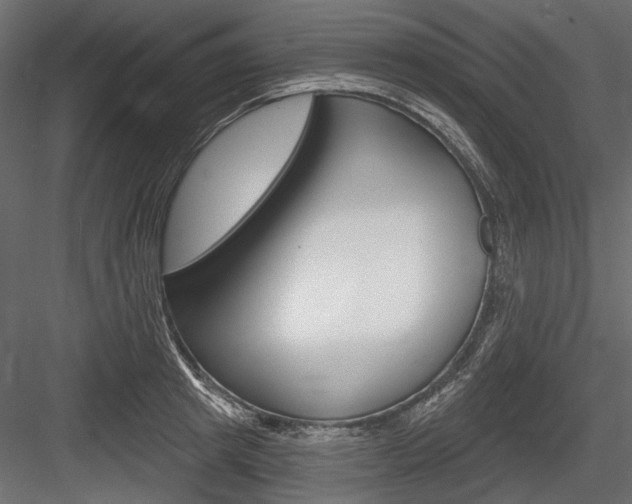 X0000084600849200702231034