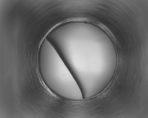X0000084600852200702231034