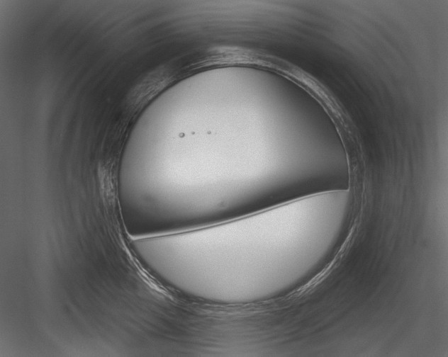 X0000084600857200702231034