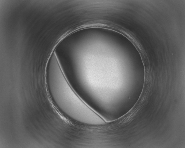 X0000084600858200702231034