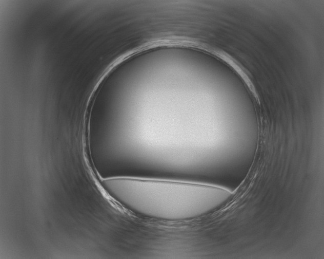 X0000084600861200702231034