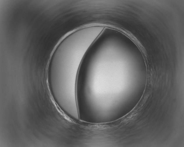 X0000084600862200702231034