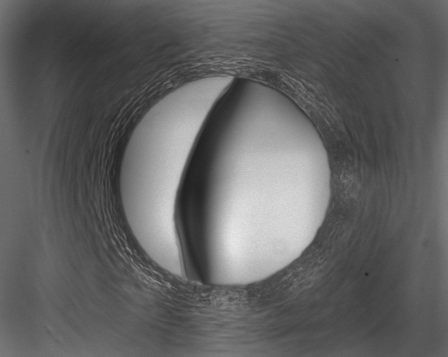 X0000084600865200702231033