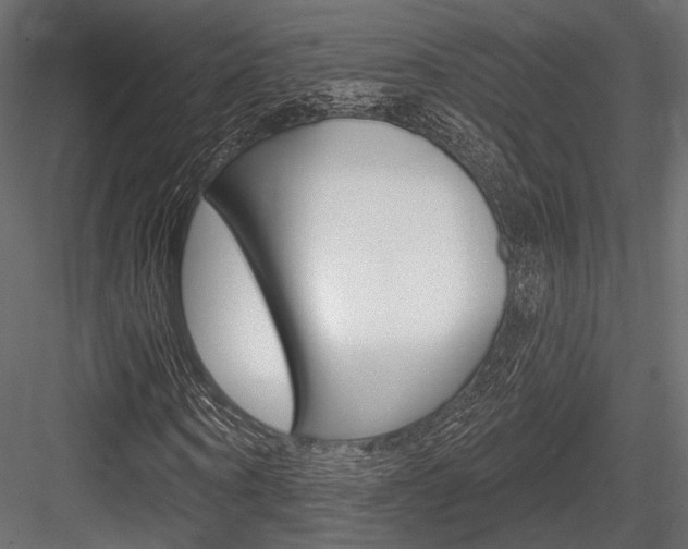 X0000084600866200702231033