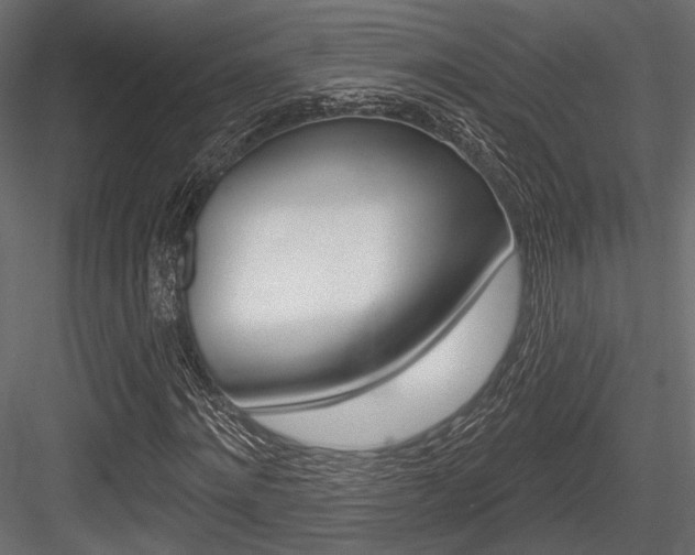 X0000084600868200702231033