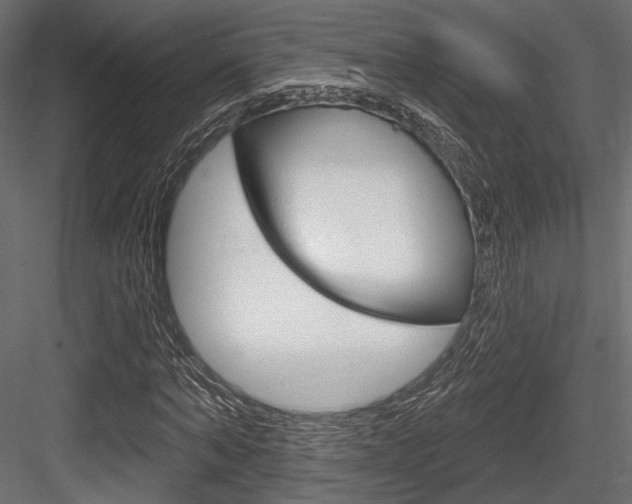 X0000084600870200702231033