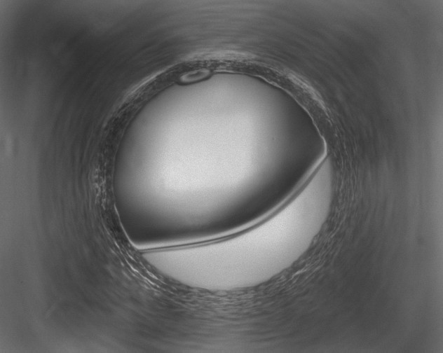 X0000084600872200702231033