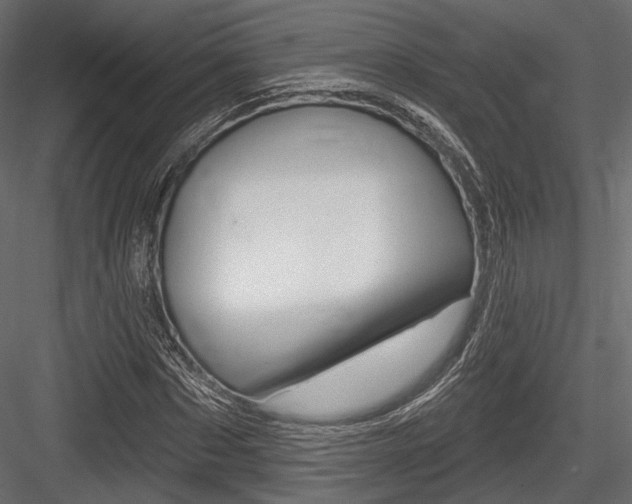 X0000084600873200702231033