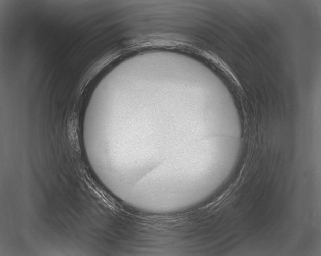 X0000084600874200702231033