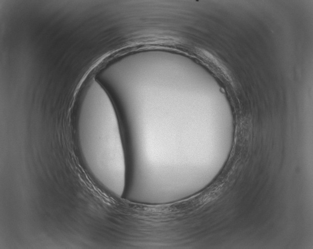 X0000084600875200702231033