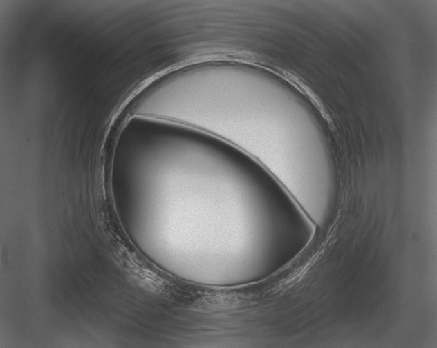 X0000084600877200702231033