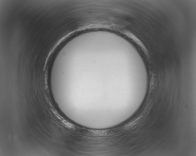 X0000084600878200702231033