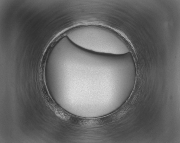 X0000084600879200702231033
