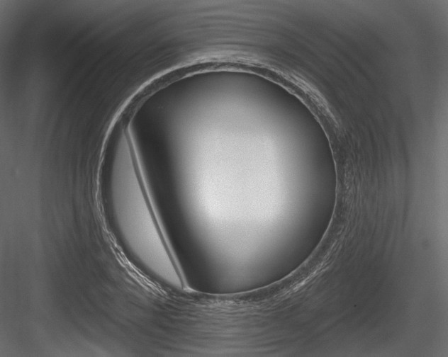 X0000084600880200702231033