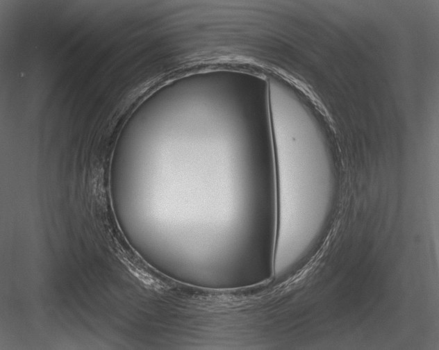 X0000084600881200702231033