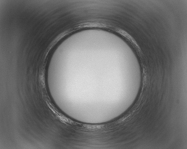 X0000084600882200702231033