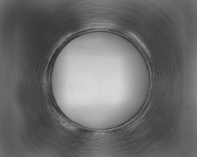 X0000084600883200702231033