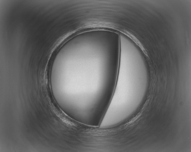 X0000084600885200702231033