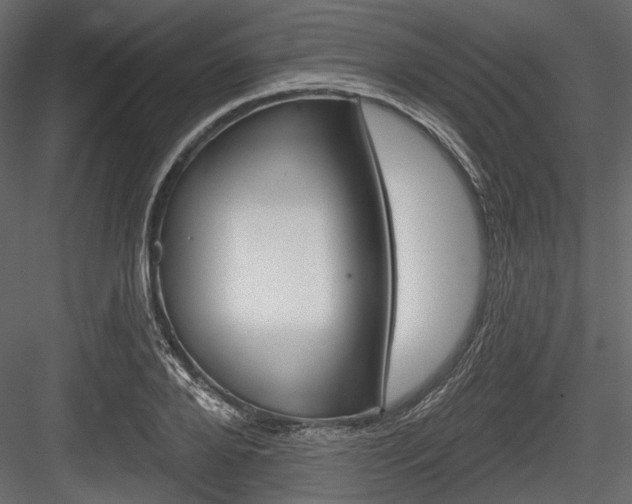 X0000084600888200702231033