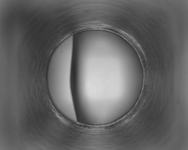 X0000084600889200702231033