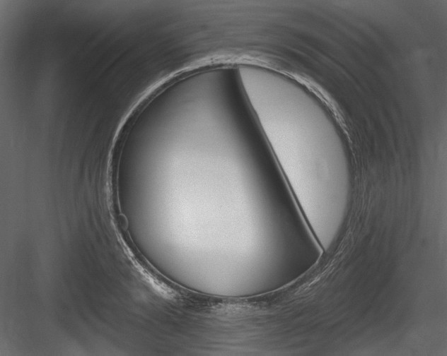 X0000084600894200702231033