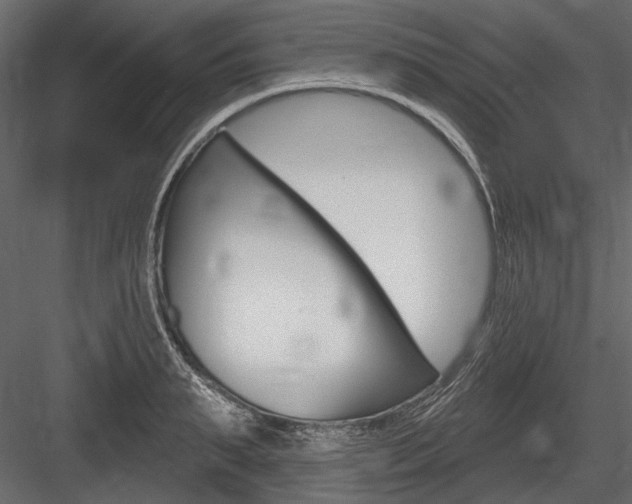 X0000084600895200702231033