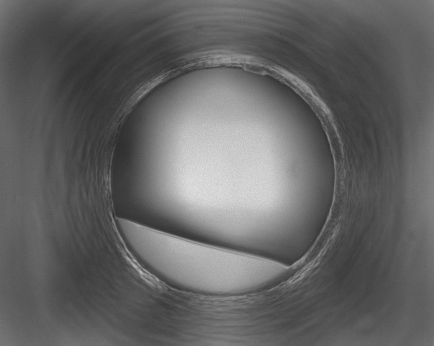 X0000084600897200702231033