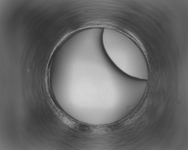 X0000084600899200702231033