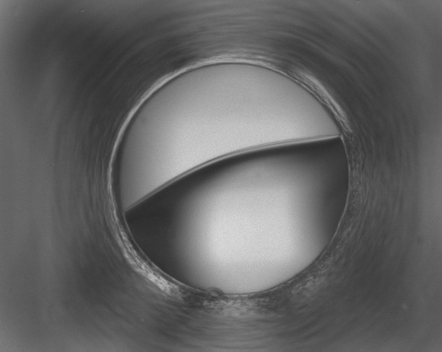 X0000084600900200702231033