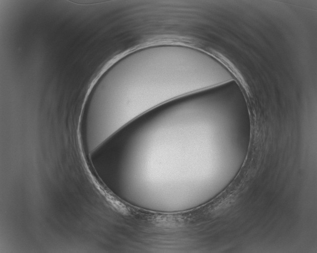 X0000084600901200702231033