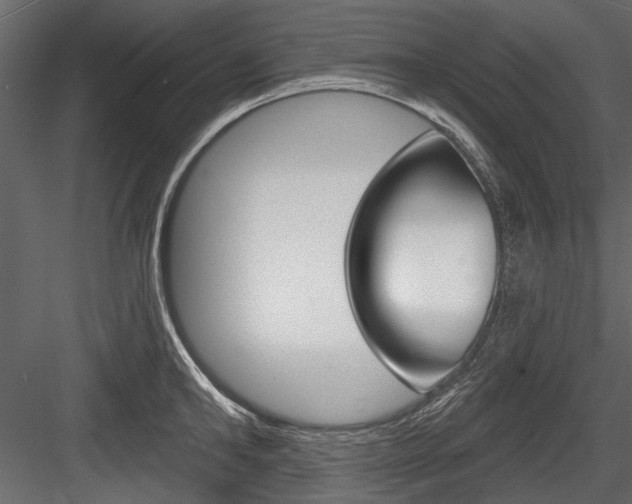 X0000084600902200702231033