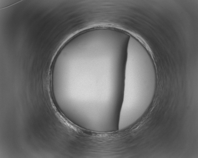X0000084600903200702231033
