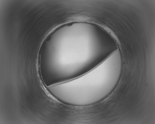 X0000084600904200702231033