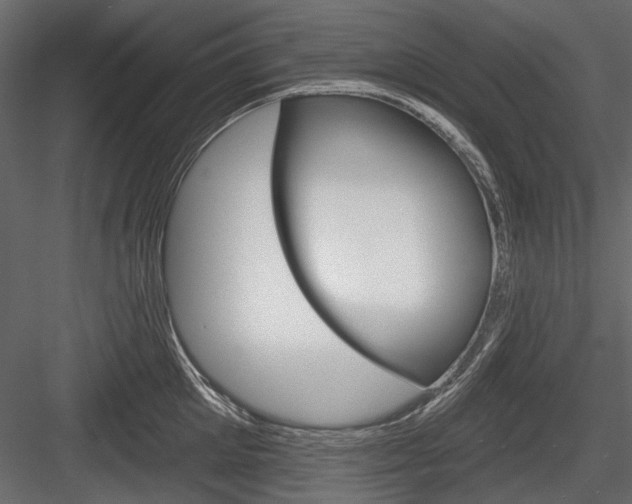 X0000084600905200702231033
