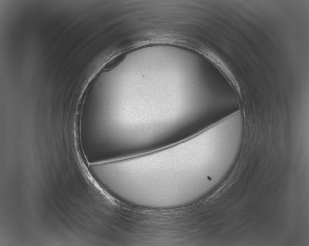 X0000084600906200702231033