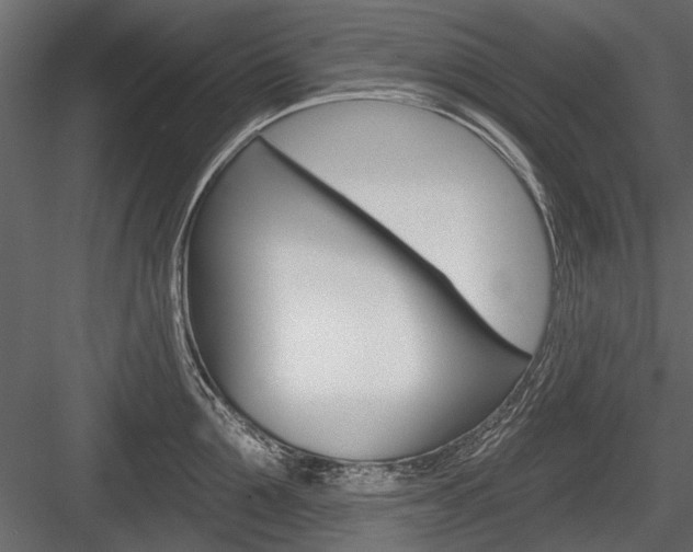X0000084600907200702231033