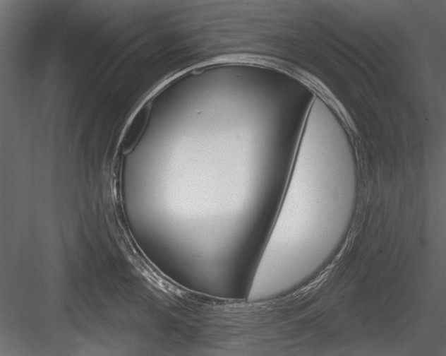 X0000084600908200702231033
