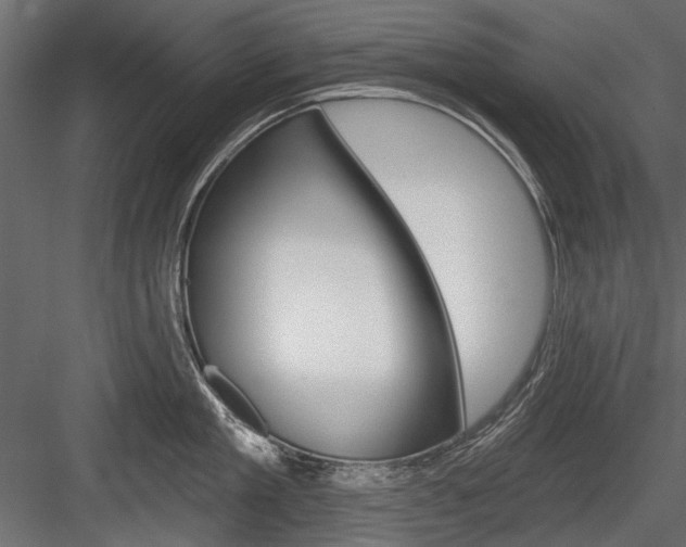 X0000084600909200702231033