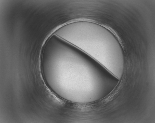 X0000084600910200702231033