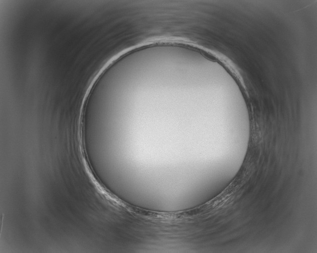 X0000084600911200702231033