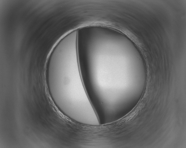 X0000084600912200702231033