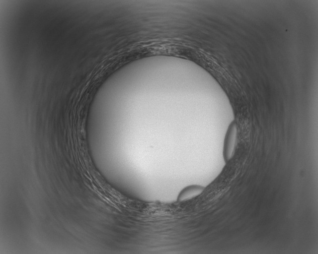 X0000084600913200702231032
