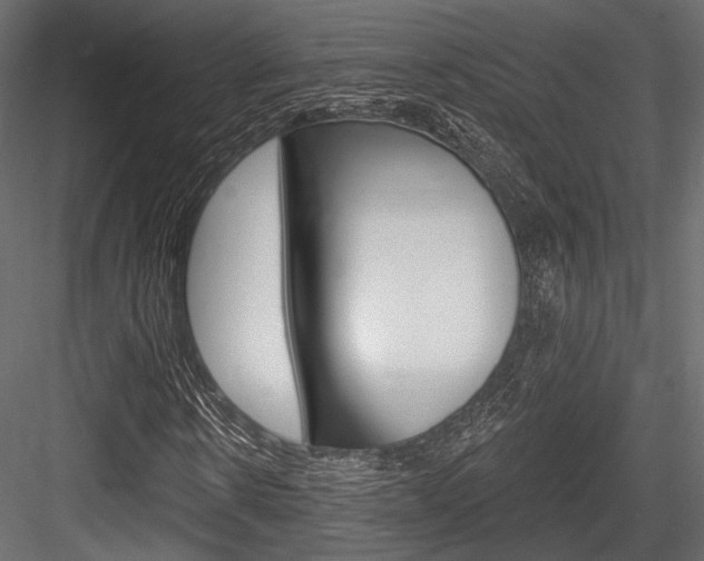 X0000084600914200702231032