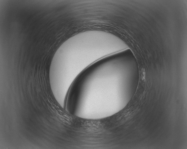 X0000084600915200702231032