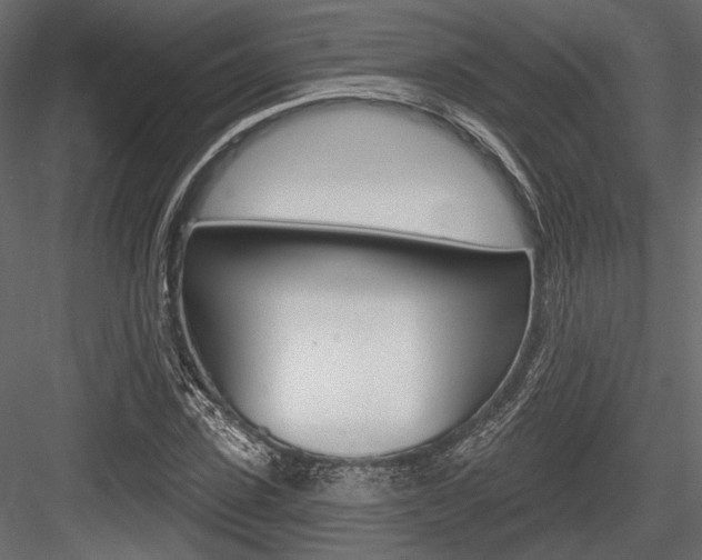 X0000084600923200702231032