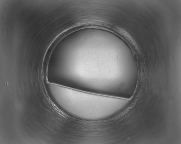 X0000084600924200702231032