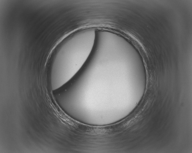 X0000084600925200702231032
